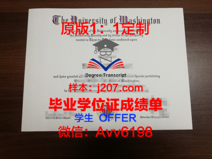 印度理工学院瓦拉纳西分校（巴纳拉斯印度大学）学位成绩单定制：打开国际教育认证之门