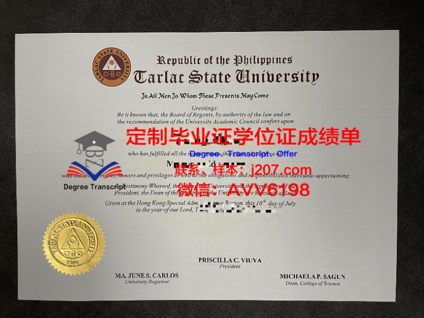 纽约州立大学奥斯威戈分校毕业证定制：荣誉与回忆的永恒见证