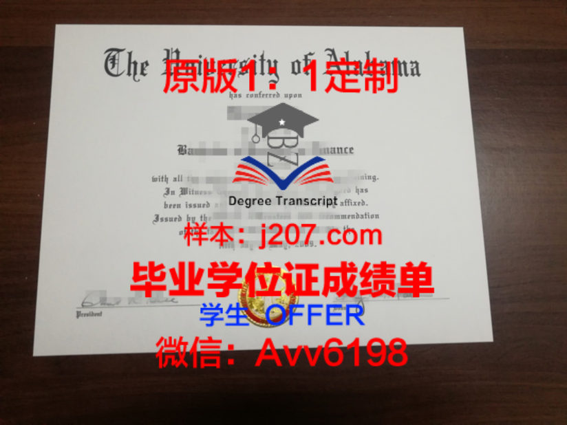 AKU硕士学位证:一张开启未来的通行证