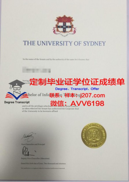 UP11本科毕业证:承载知识与梦想的荣耀证书