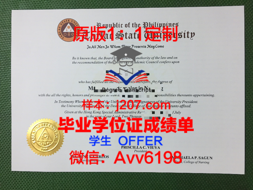南卫大学位证定制多少钱一张?揭秘背后的真相