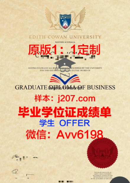 Brown学位证定制:追求个性化教育的创新之路